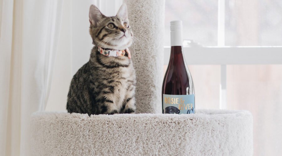 Wineries and More That Support Cat Rescue
