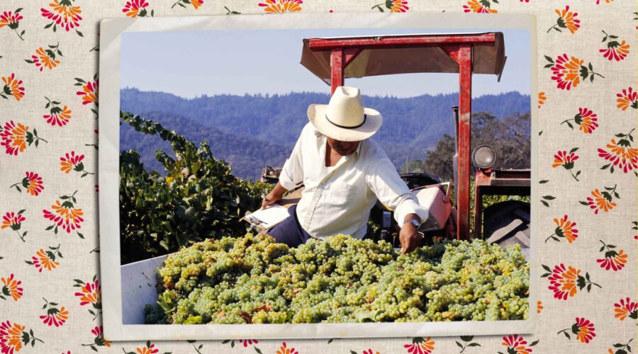 The King of Cabernet: Napa Valley’s Rise to Wine Stardom