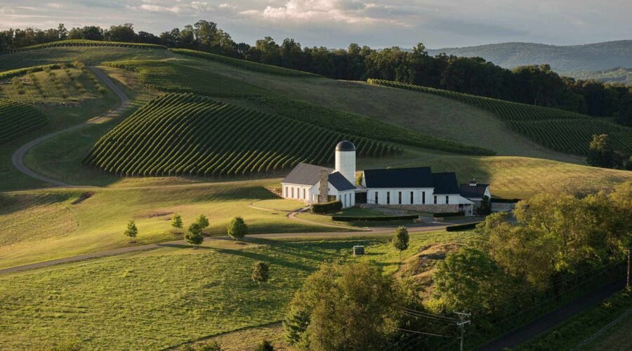 Culture: The Best Virginia Wineries to Visit Right Now, According to Industry Insiders