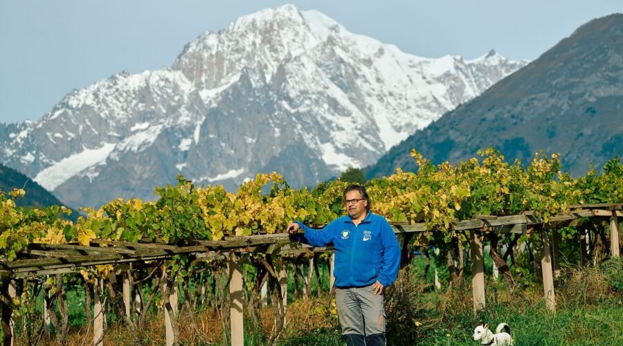 Culture: In Europe’s Highest Vineyards, the Little-Known Prié Blanc Grape Takes Flight