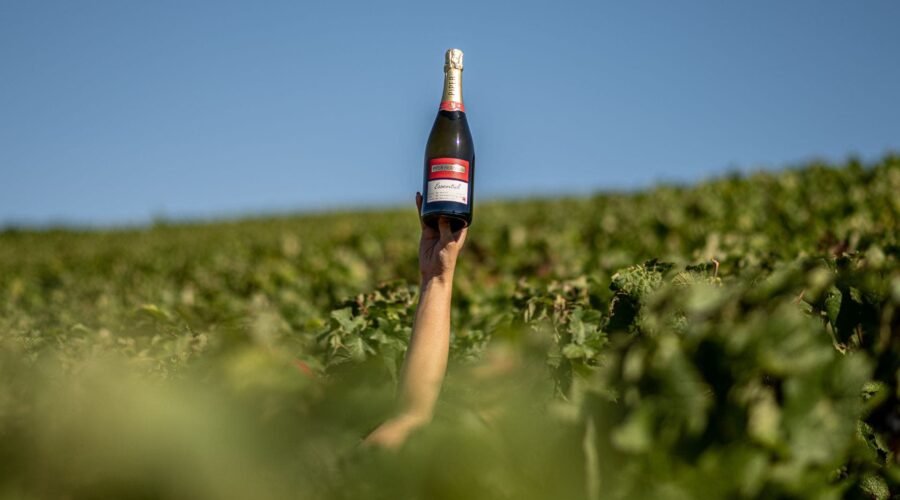 Piper-Heidsieck’s Commitment to a Brighter Future