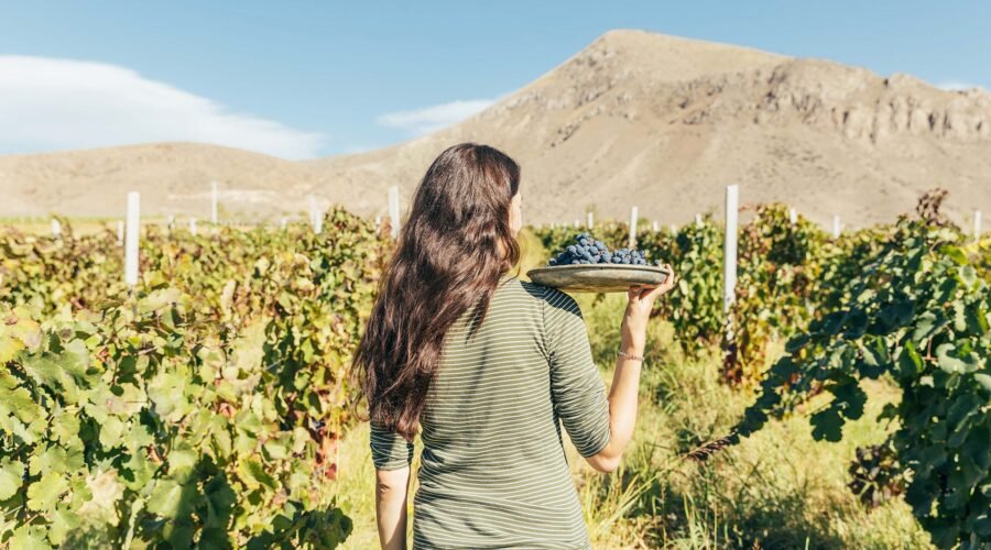 9 Armenian Wine Grapes to Know