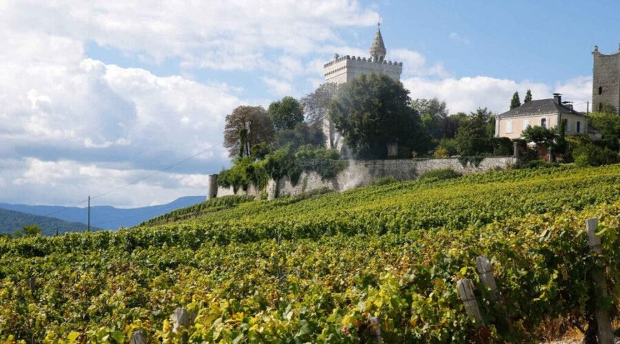 Culture: Savoie Has Cult Status Among Wine Pros. Here’s Why.