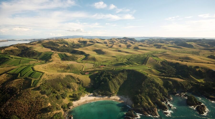 The Best Wineries (and More) on Waiheke, New Zealand’s ‘Island of Wine’