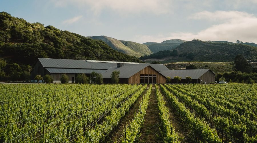 Santa Ynez Valley Wineries to Visit Right Now