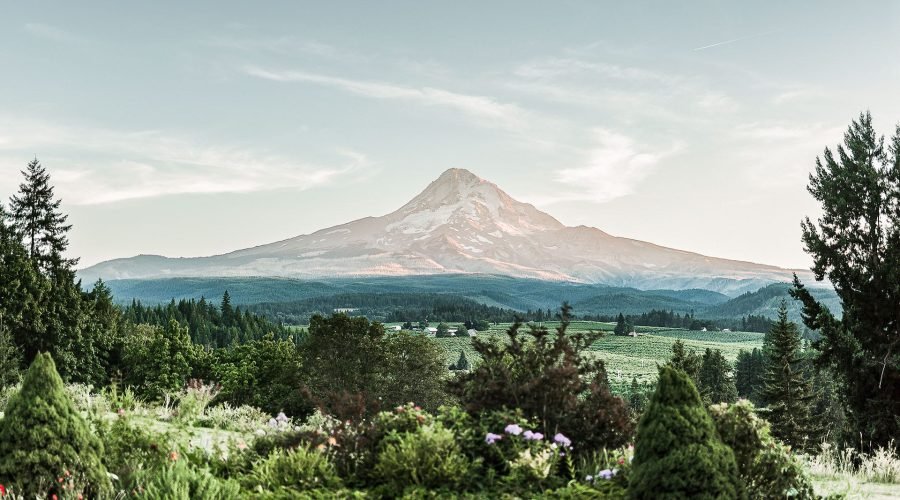 The Rise of Volcanic Cider