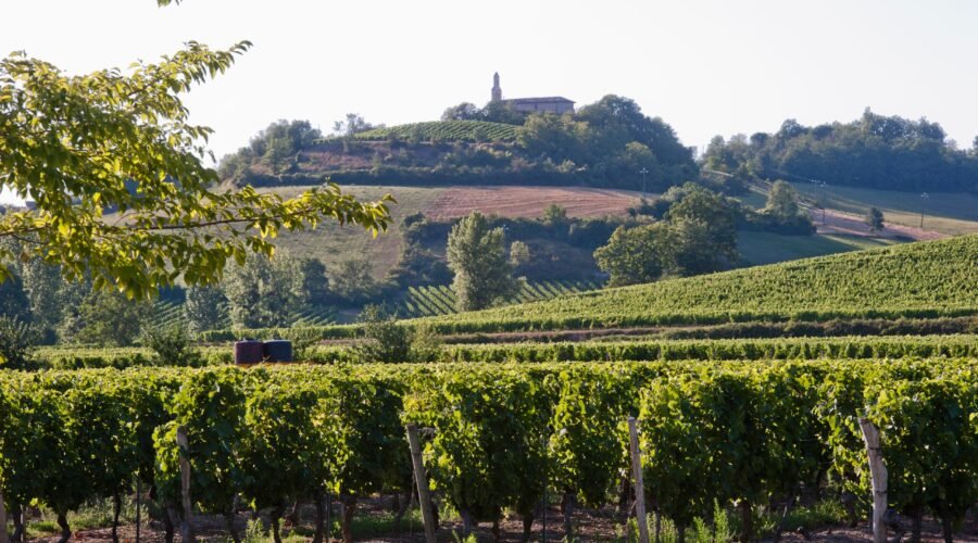 Discover Southwest France, a Wildly Diverse Wine Region