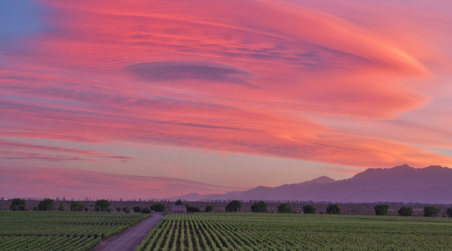 Celebrating Two Decades of Clos de los Siete’s Trailblazing C7 Bordeaux Blend in Mendoza