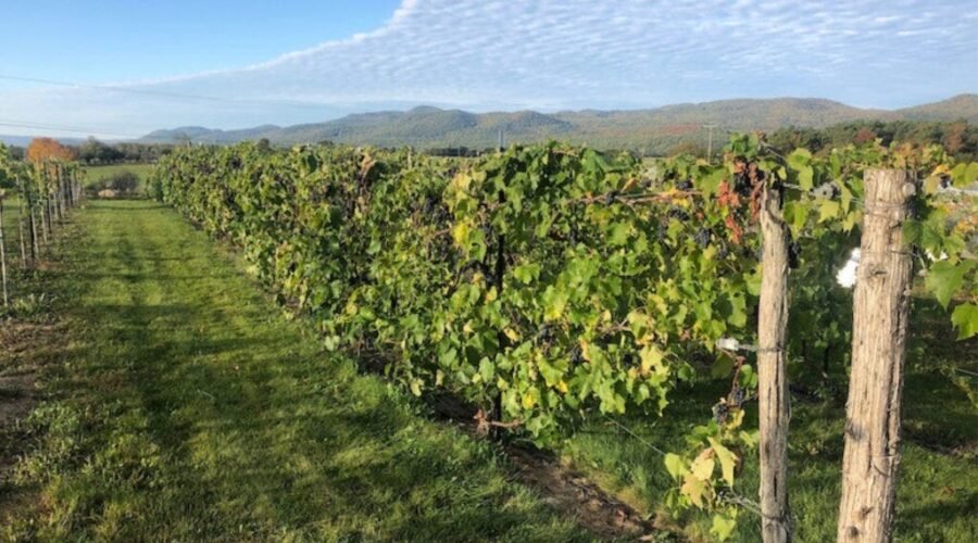 Champlain Valley AVA