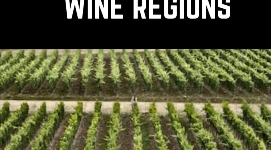 Beaujolais Wine Regions: A Connoisseurs Guide to History, Grape Varieties, Flavors and Wine Regions of Beaujolais (Books on Wine Regions)