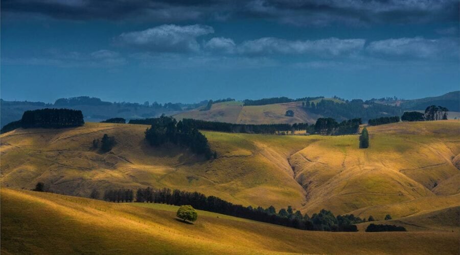 The Most Expensive Australian Wine? Gippsland Pinot Noir
