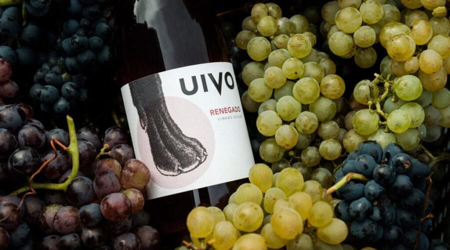 After Nearly Disappearing, This Chillable Portuguese Red Wine Is Cool Again