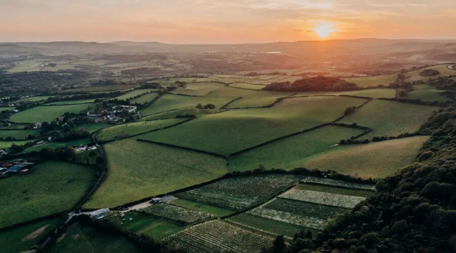 Against All Odds, the English Are Finally Drinking Their Own Wine