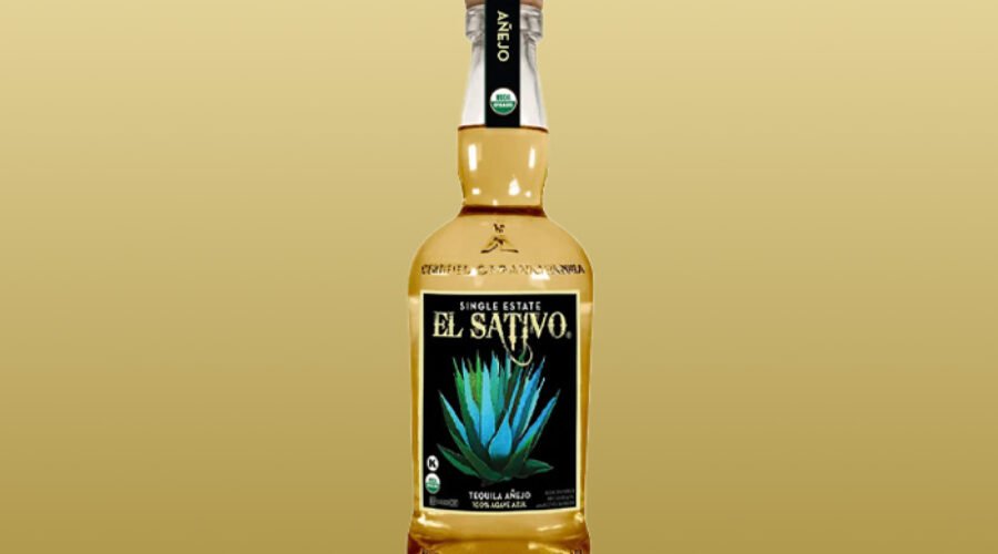 The Best Tequilas of 2025 Don’t Need Gimmicks