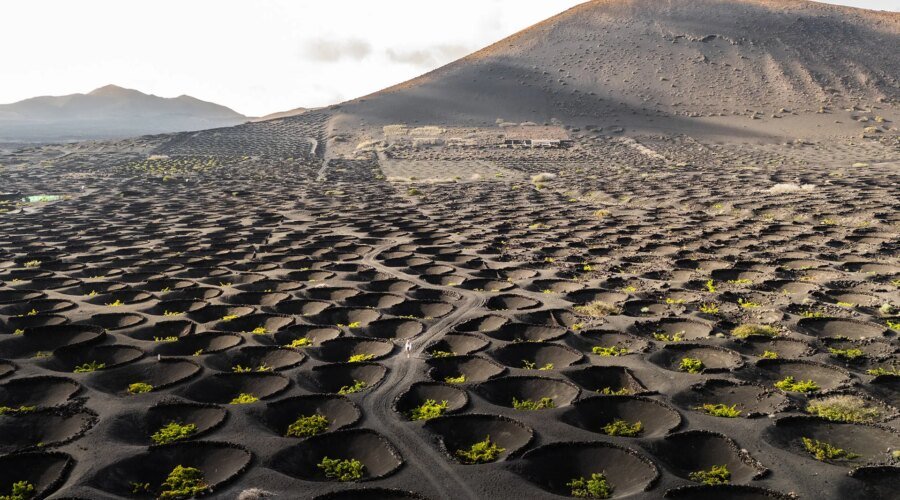 The Canary Islands’ Volcanic Wines Deserve a Bigger Audience