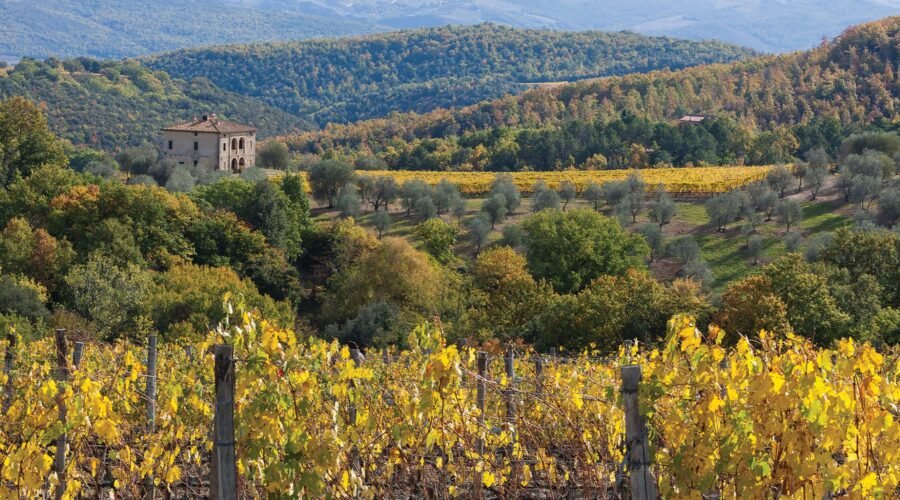 The Legacy That Defines Brunello