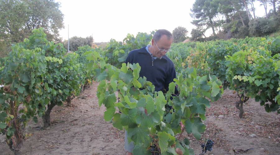 Château Rayas: The enduring winemaking mysteries behind this Rhône icon