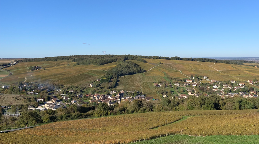 The ethical drinker: How the understated Loire became an environmental pioneer