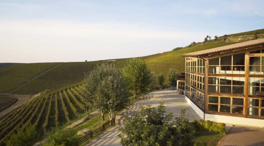 Nizza: Barbera’s Rise to DOCG Stardom