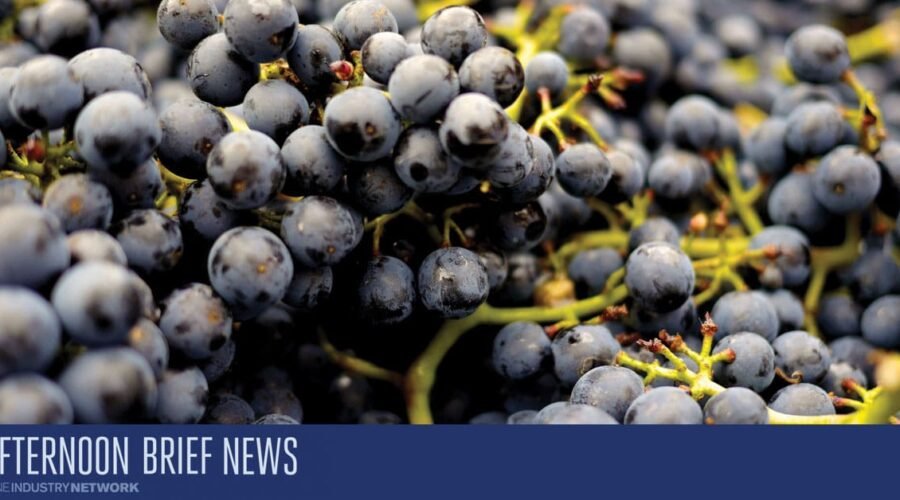 Afternoon Brief, March 20