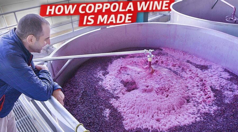 How One of California’s Biggest Wineries Produces Over 12 Million Bottles per Year — Dan Does