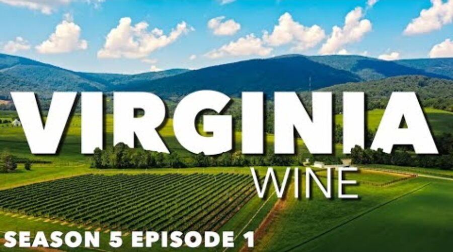 VIRGINIA wine? See the birthplace of U.S. wine that’s FULL OF CHARM!