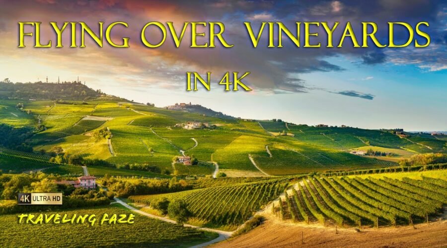 It’s HAPPY HOUR!! Vineyards Around the World in 3 Hours [4K] [SCREENSAVER]