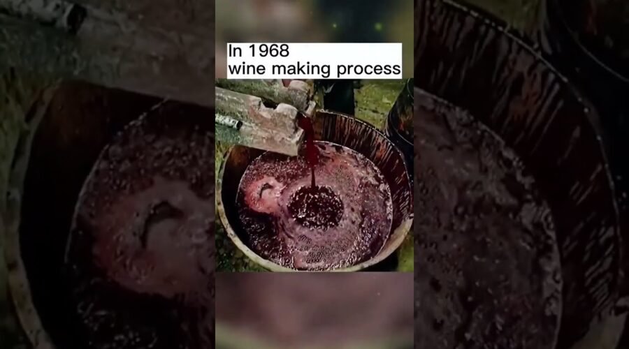 In 1968 .wine making process  #vintage #fyp #history