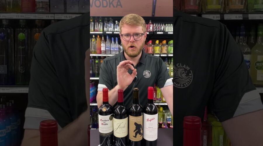 WINE GUIDE – CABERNET SAUVIGNON