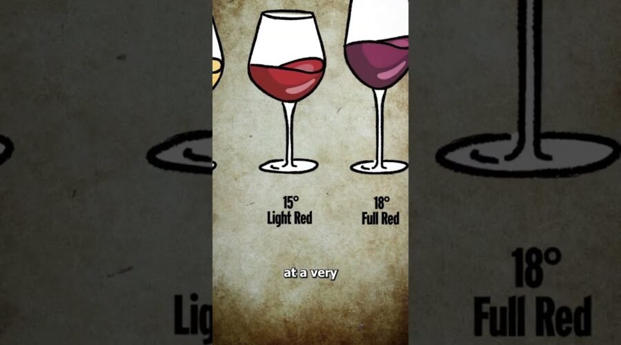The Real Reason Wine Glasses Have Stems 🤔