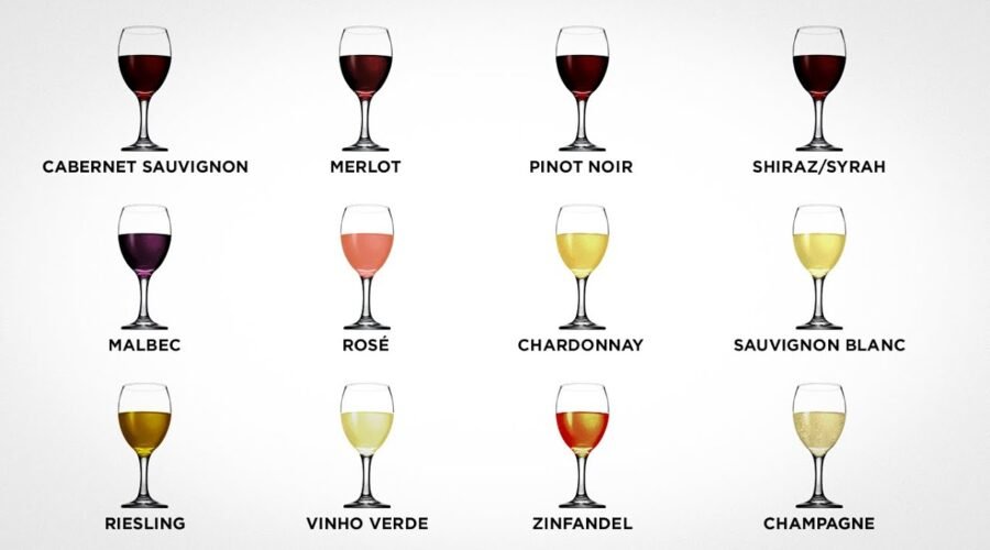 Every Wine Explained in 10 minutes Part 1
