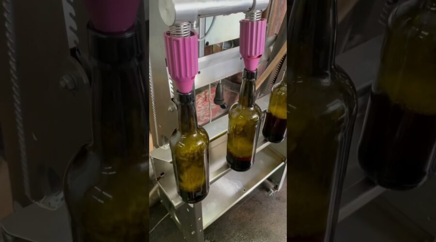 Wine production process in Douro region. Port wine. Wine makers work. Harvest season.