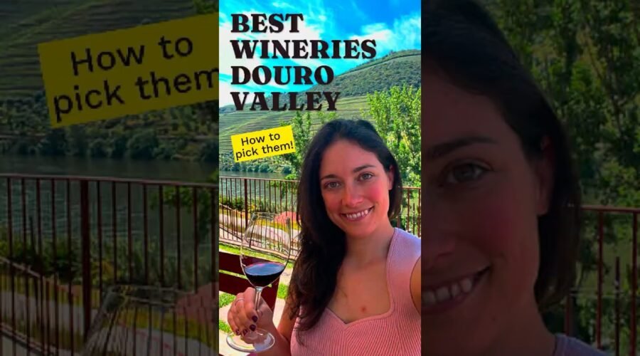 How to choose the Best Wineries in the Douro Valley 🍷🇵🇹