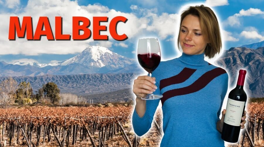 Wine Grapes 101: MALBEC