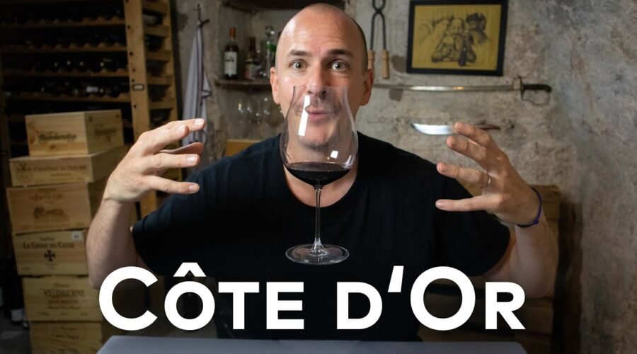 BURGUNDY’S COTE D’OR – WINE IN 10
