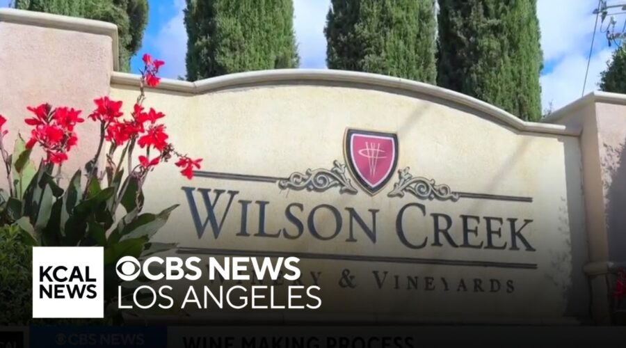 Wilson Creek Winery in Temecula wine country | Let’s Go Places