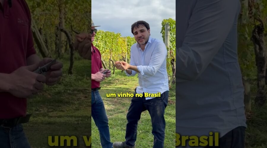 Essa vinícola vai te mostrar todo o potencial do agro