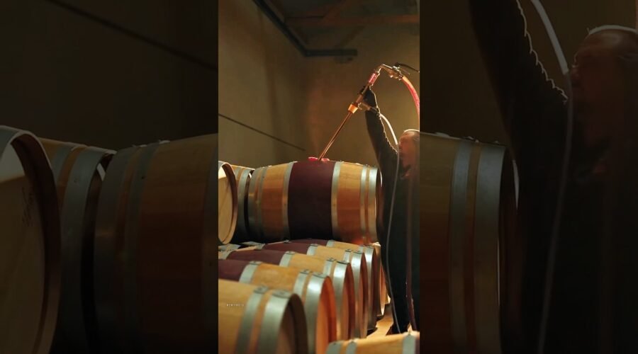 Wine Making Process.