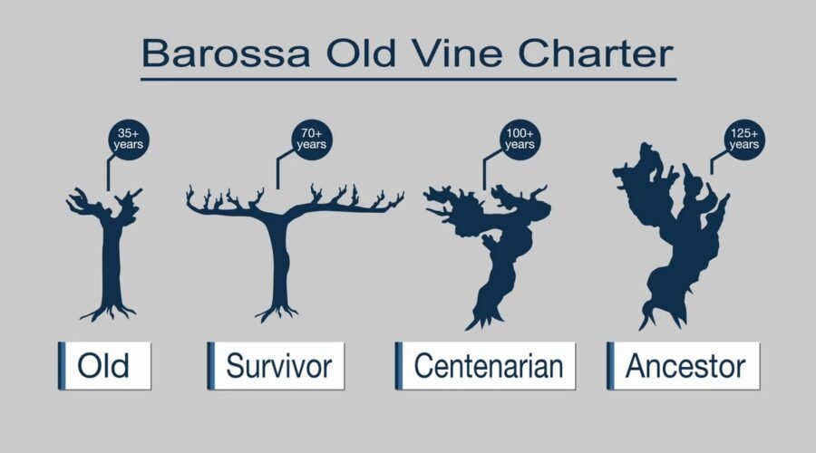 The Wines of Barossa Valley