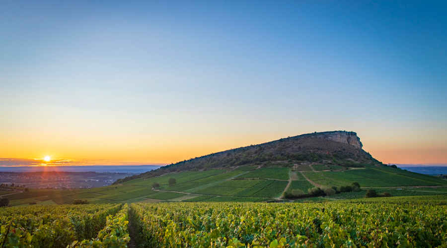 Decoding the Mâconnais: Why Burgundy lovers should keep their eyes on this southern star