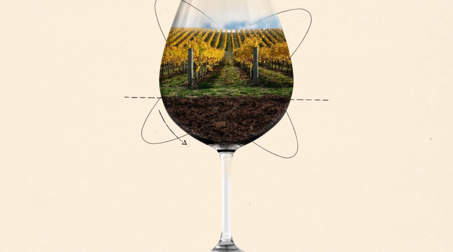 Can Organic and Biodynamic Farming Improve Yields?