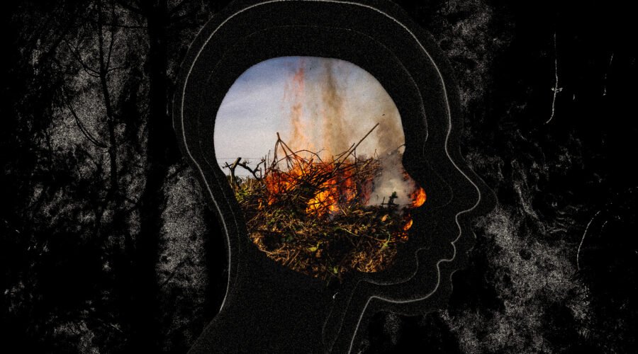 Another Climate-Related Disaster? Winemaker Mental Health