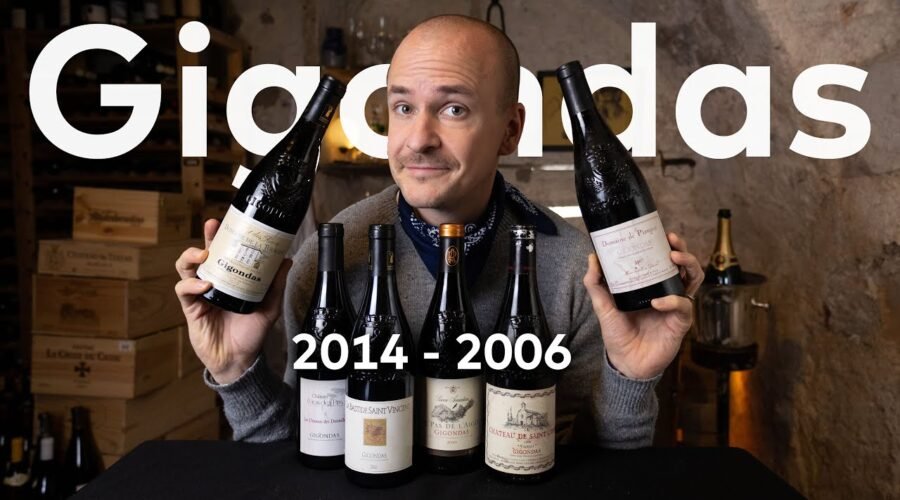 Gigondas – Master of Wine does Deep Dive and Vintage Wine Tasting