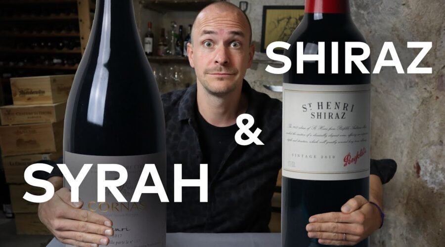 SYRAH – WINE IN 10