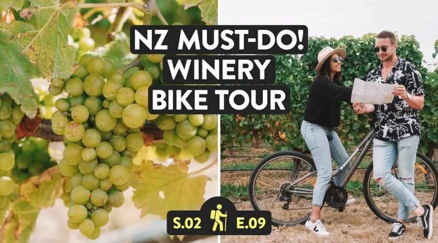 We Took A Vineyard Bike Tour! | Blenheim, Marlborough Wine | Reveal New Zealand S2 E9