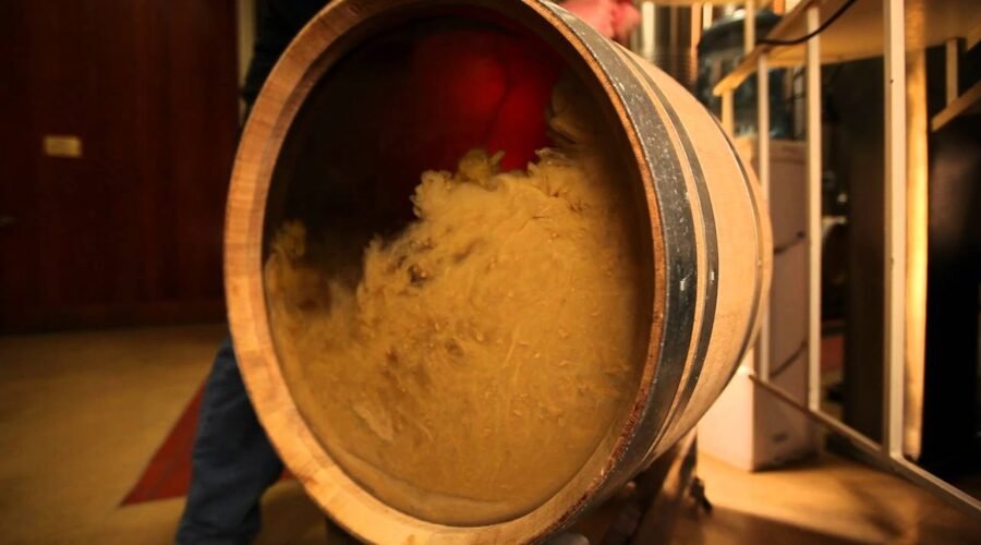 See Inside a Wine Barrel | Batonnage Winemaking Process | Sur Lie Aging | Wine Education Videos