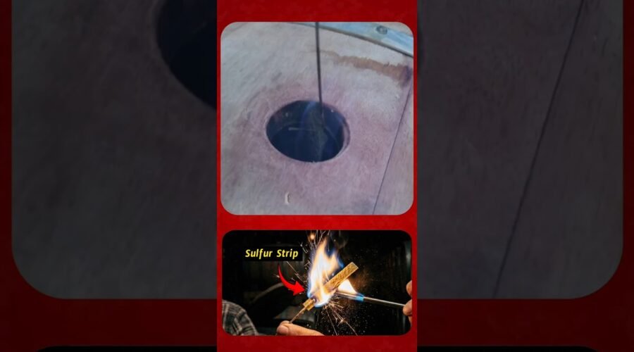 🍷Wine Barrels Sulfur Treatment