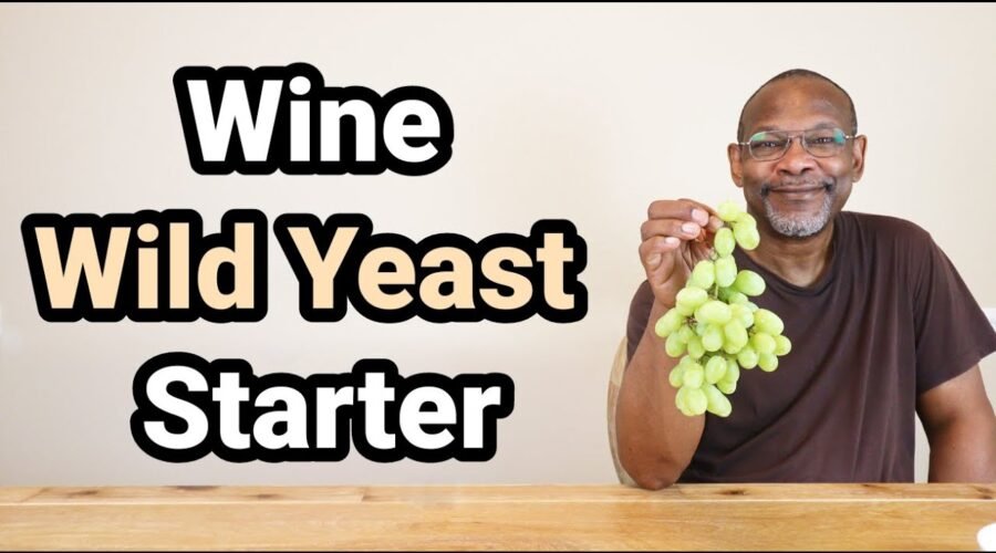 Wine Wild Yeast Starter