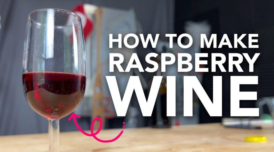 How to make Raspberry Wine | One gallon easy recipe start to finish – with a tasting!