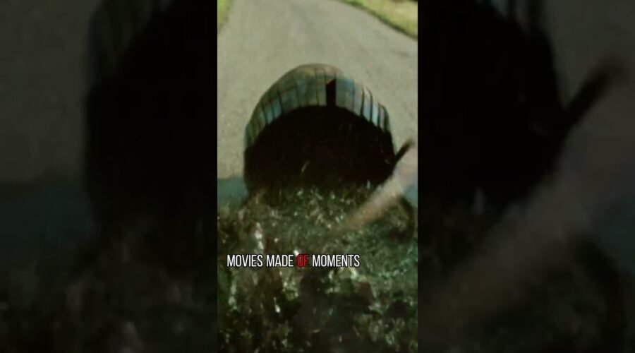 They smashed two large barrels of Lafite red wine on the road.*La Grande Vadrouille*